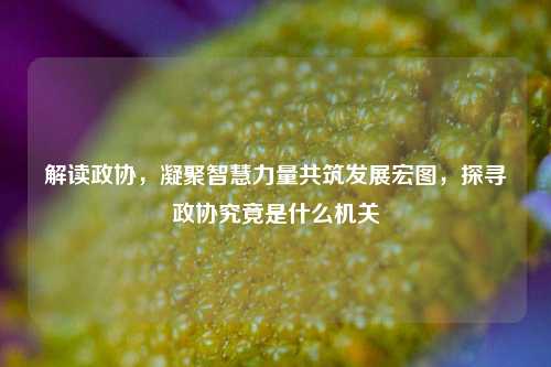 解读政协，凝聚智慧力量共筑发展宏图，探寻政协究竟是什么机关