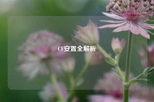CF安置全解析