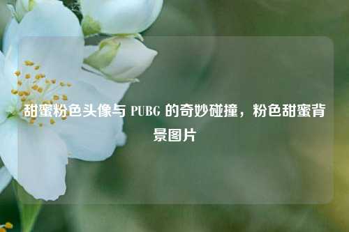 甜蜜粉色头像与 PUBG 的奇妙碰撞，粉色甜蜜背景图片