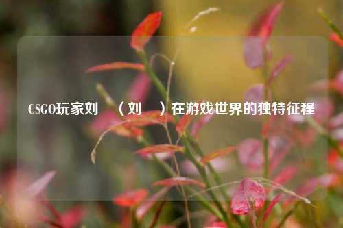 CSGO玩家刘墠(刘頔)在游戏世界的独特征程