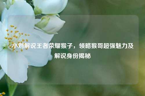 小刘解说王者荣耀猴子,领略猴哥超强魅力及解说身份揭秘