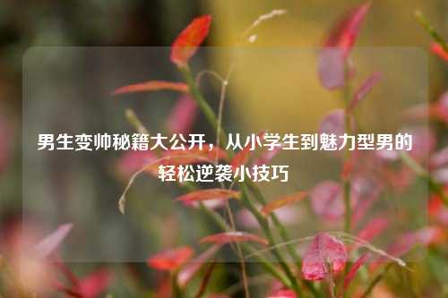 男生变帅秘籍大公开,从小学生到魅力型男的轻松逆袭小技巧