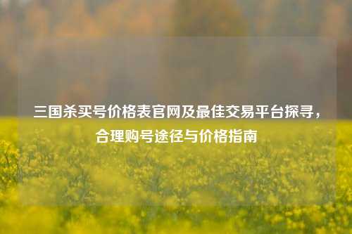 三国杀买号价格表官网及最佳交易平台探寻，合理购号途径与价格指南