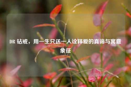 DR 钻戒，用一生只送一人诠释爱的真谛与寓意象征