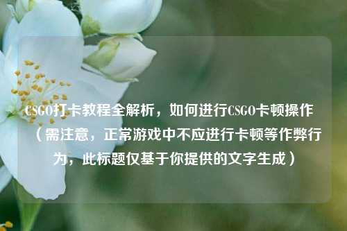 CSGO打卡教程全解析,如何进行CSGO卡顿操作 (需注意,正常游戏中不应进行卡顿等作弊行为,此标题仅基于你提供的文字生成)