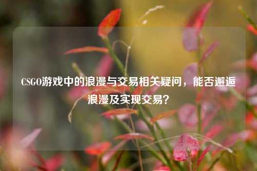 CSGO游戏中的浪漫与交易相关疑问,能否邂逅浪漫及实现交易?