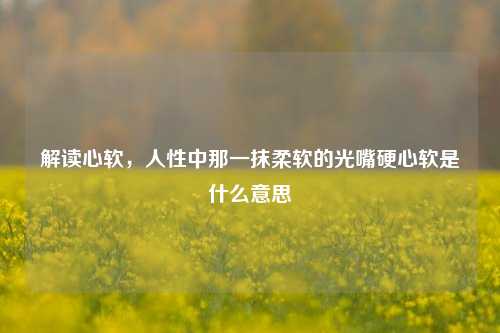解读心软,人性中那一抹柔软的光嘴硬心软是什么意思