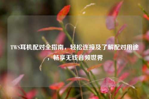 TWS耳机配对全指南，轻松连接及了解配对用途，畅享无线音频世界