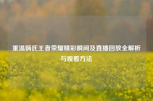 重温嗨氏王者荣耀精彩瞬间及直播回放全解析与观看方法