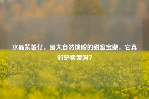水晶紫薯仔,是大自然馈赠的甜蜜宝藏,它真的是紫薯吗?