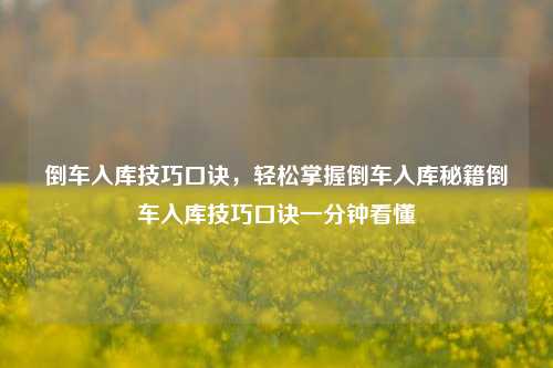 倒车入库技巧口诀，轻松掌握倒车入库秘籍倒车入库技巧口诀一分钟看懂
