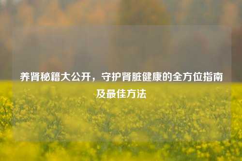 养肾秘籍大公开，守护肾脏健康的全方位指南及最佳方法