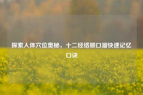 探索人体穴位奥秘，十二经络顺口溜快速记忆口诀