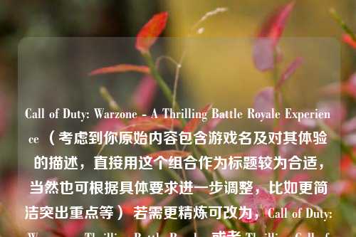 Call of Duty: Warzone - A Thrilling Battle Royale Experience (考虑到你原始内容包含游戏名及对其体验的描述,直接用这个组合作为标题较为合适,当然也可根据具体要求进一步调整,比如更简洁突出重点等) 若需更精炼可改为,Call of Duty: Warzone - Thrilling Battle Royale 或者 Thrilling Call of Duty: Warzone Battle Royale 你看看哪个符合你的预期,或者