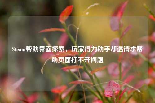 Steam帮助界面探索,玩家得力助手却遇请求帮助页面打不开问题