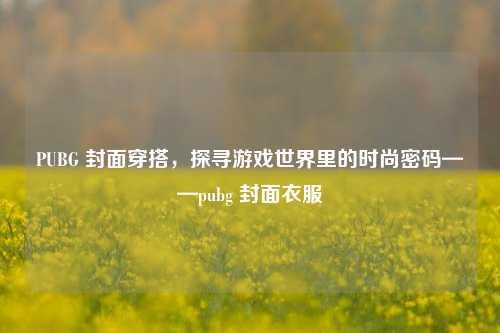 PUBG 封面穿搭,探寻游戏世界里的时尚密码——pubg 封面衣服