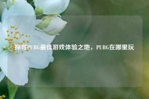 探寻PUBG最佳游戏体验之地，PUBG在哪里玩