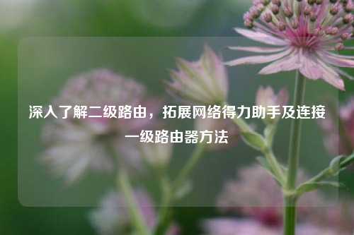 深入了解二级路由，拓展网络得力助手及连接一级路由器方法