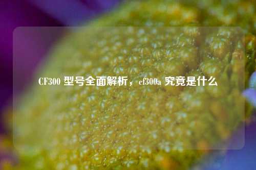 CF300 型号全面解析，cf300a 究竟是什么