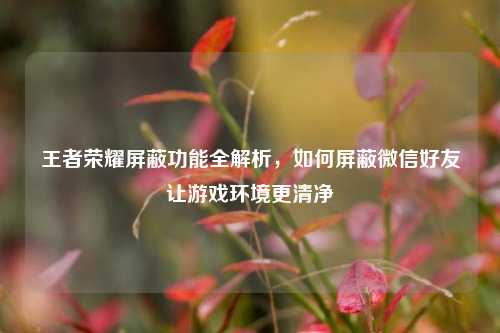 王者荣耀屏蔽功能全解析,如何屏蔽微信好友让游戏环境更清净