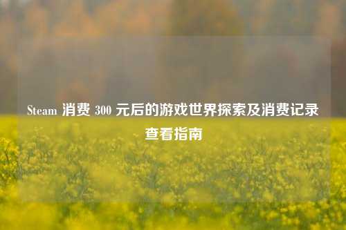 Steam 消费 300 元后的游戏世界探索及消费记录查看指南