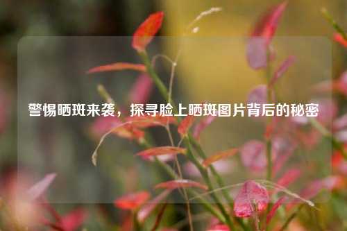 警惕晒斑来袭，探寻脸上晒斑图片背后的秘密