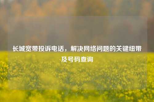 长城宽带投诉电话，解决网络问题的关键纽带及号码查询