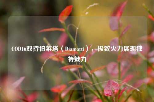 COD16双持伯莱塔(Diamatti),极致火力展现独特魅力
