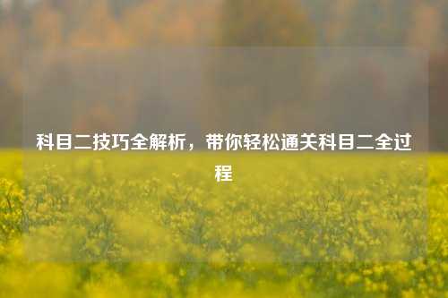 科目二技巧全解析，带你轻松通关科目二全过程