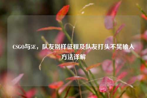 CSGO与5E,队友别样征程及队友打头不晃输入方法详解