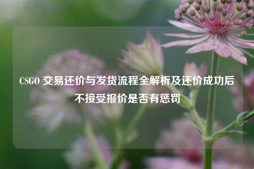 CSGO 交易还价与发货流程全解析及还价成功后不接受报价是否有惩罚