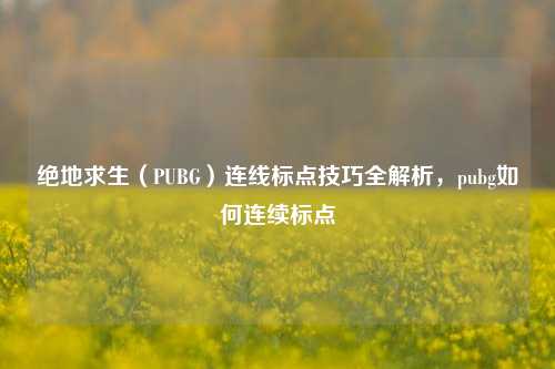 绝地求生（PUBG）连线标点技巧全解析，pubg如何连续标点