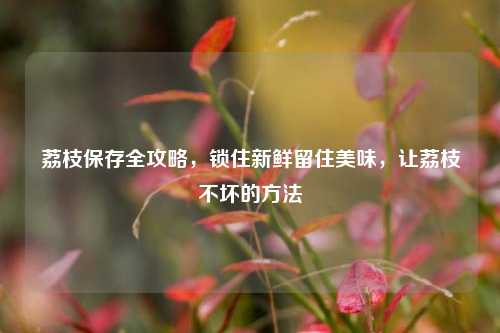 荔枝保存全攻略,锁住新鲜留住美味,让荔枝不坏的方法