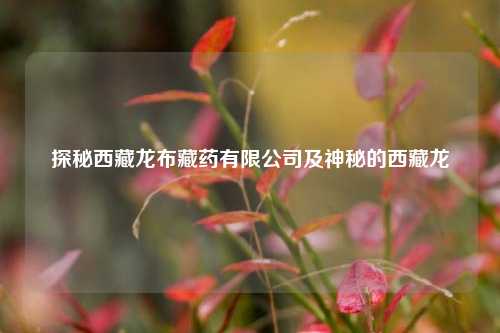 探秘西藏龙布藏药有限公司及神秘的西藏龙