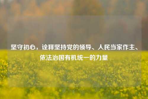坚守初心，诠释坚持党的领导、人民当家作主、依法治国有机统一的力量
