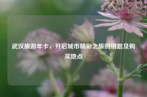武汉旅游年卡,开启城市精彩之旅的钥匙及购买地点