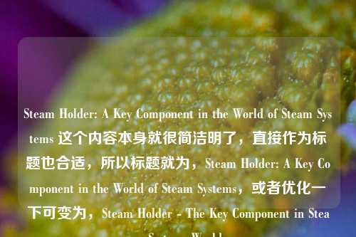 Steam Holder: A Key Component in the World of Steam Systems 这个内容本身就很简洁明了,直接作为标题也合适,所以标题就为,Steam Holder: A Key Component in the World of Steam Systems,或者优化一下可变为,Steam Holder - The Key Component in Steam Systems World
