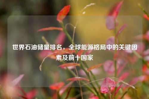 世界石油储量排名，全球能源格局中的关键因素及前十国家