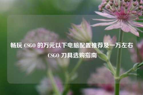 畅玩 CSGO 的万元以下电脑配置推荐及一万左右 CSGO 刀具选购指南
