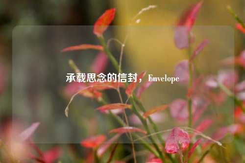 承载思念的信封,Envelope