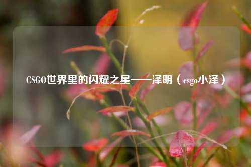 CSGO世界里的闪耀之星——泽明（csgo小泽）