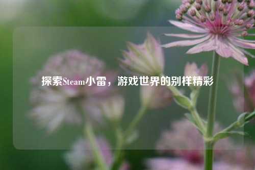 探索Steam小雷，游戏世界的别样精彩