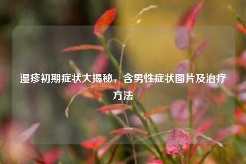 湿疹初期症状大揭秘,含男性症状图片及治疗方法