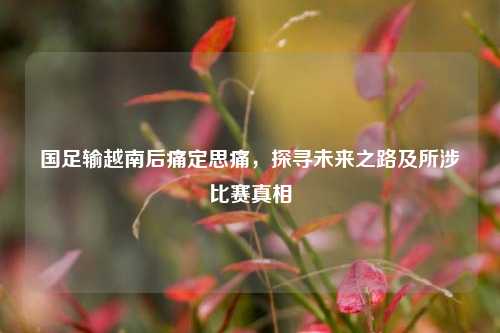 国足输越南后痛定思痛，探寻未来之路及所涉比赛真相