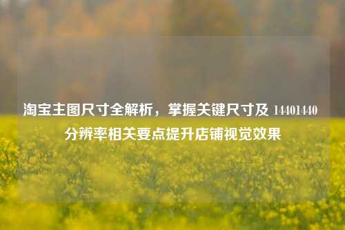 淘宝主图尺寸全解析，掌握关键尺寸及 14401440 分辨率相关要点提升店铺视觉效果