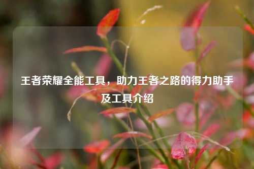 王者荣耀全能工具,助力王者之路的得力助手及工具介绍