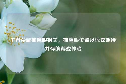王者荣耀抽鹰眼相关，抽鹰眼位置及惊喜期待并存的游戏体验