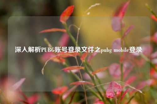 深入解析PUBG账号登录文件之pubg mobile登录
