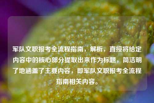 军队文职报考全流程指南,解析,直接将给定内容中的核心部分提取出来作为标题,简洁明了地涵盖了主要内容,即军队文职报考全流程指南相关内容。