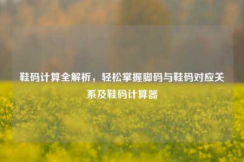 鞋码计算全解析,轻松掌握脚码与鞋码对应关系及鞋码计算器